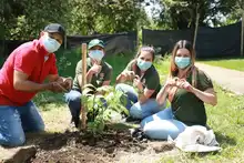 Con empresas madereras se sembró vida en el sur de Cali