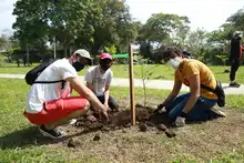 Con empresas madereras se sembró vida en el sur de Cali