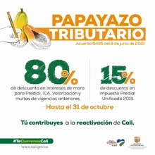 Póngase al día con las multas de tránsito y aproveche los descuentos del Papayazo Tributario y la Ley 2155