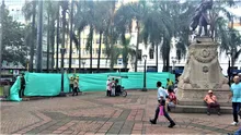 La Plaza de Cayzedo se cerrará parcialmente durante 20 días para la intervención fitosanitaria de sus palmas