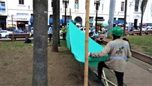 La Plaza de Cayzedo se cerrará parcialmente durante 20 días para la intervención fitosanitaria de sus palmas