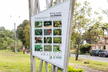 Bosques urbanos, estrategia de conservación ambiental en Cali