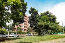 Bosques urbanos, estrategia de conservación ambiental en Cali