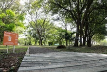 Bosques urbanos, estrategia de conservación ambiental en Cali