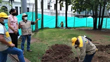 A buen ritmo avanza intervención de la Plaza de Cayzedo