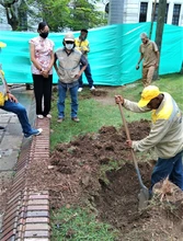 A buen ritmo avanza intervención de la Plaza de Cayzedo