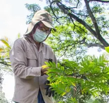 Experiencia del Vivero Distrital será presentada en Primer Encuentro Regional