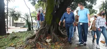 Renovarán separadores viales de las carreras 39, 66 y Avenida 6A