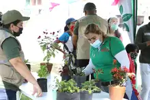 Cali conmemora el Día Internacional del Árbol con educación ambiental y deporte