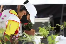 Cali conmemora el Día Internacional del Árbol con educación ambiental y deporte