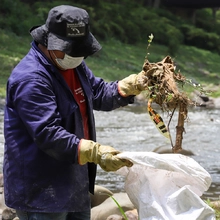 Dagma da continuidad al cumplimiento de sentencia en favor de recicladores de oficio