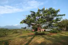 Cali late con el Ecoparque Ambiental Corazón de Pance