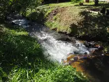 Cali late con el Ecoparque Ambiental Corazón de Pance