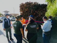 Control a movilización y comercialización de productos forestales maderables y no maderables