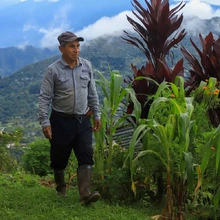 Alfonso Ortiz y su aroma de conservación y emprendimiento en La Elvira