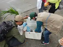 Operativos del Dagma previenen tráfico de fauna silvestre