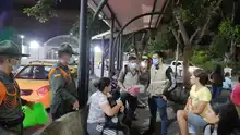 Operativos del Dagma previenen tráfico de fauna silvestre
