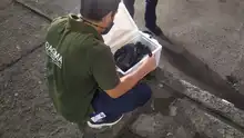 Operativos del Dagma previenen tráfico de fauna silvestre