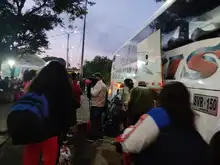 Operativos del Dagma previenen tráfico de fauna silvestre
