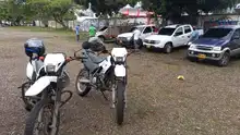 Al tablero parque automotor del Distrito de Santiago de Cali 