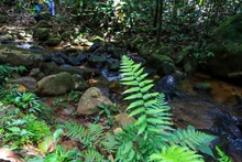 Finca La Carolina, una fábrica de agua para el futuro 