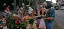 Dagma articula con Minambiente la gestión de Negocios Verdes