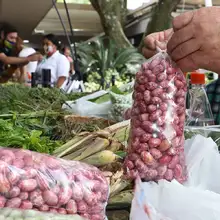 Día Mundial de la Alimentación: gracias productores y campesinos