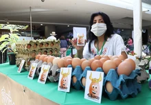 Día Mundial de la Alimentación: gracias productores y campesinos