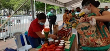 Día Mundial de la Alimentación: gracias productores y campesinos
