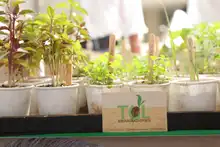 Día Mundial de la Alimentación: gracias productores y campesinos