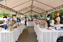Este fin de semana disfruta "Modelo Somos Todos", un evento en honor a la cultura afro
