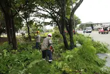 La Avenida Ciudad de Cali tendrá Intervención ambiental integral 