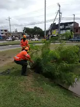La Avenida Ciudad de Cali tendrá Intervención ambiental integral 