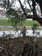 La Avenida Ciudad de Cali tendrá Intervención ambiental integral 