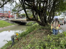 La Avenida Ciudad de Cali tendrá Intervención ambiental integral 