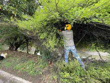La Avenida Ciudad de Cali tendrá Intervención ambiental integral 