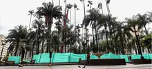 Te Queremos Cali con una Plaza de Cayzedo más verde 