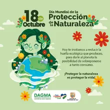 Las buenas prácticas ambientales son nuestro aporte a la protección de la naturaleza