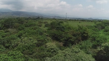 Las buenas prácticas ambientales son nuestro aporte a la protección de la naturaleza