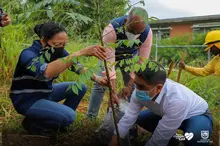Te queremos Cali inició la siembra de árboles frutales en los planteles educativos distritales