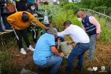 Te queremos Cali inició la siembra de árboles frutales en los planteles educativos distritales