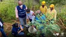 Te queremos Cali inició la siembra de árboles frutales en los planteles educativos distritales