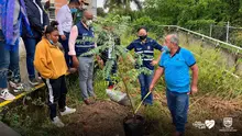 Te queremos Cali inició la siembra de árboles frutales en los planteles educativos distritales