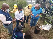 Sembramos vida en las instituciones educativas con mil árboles frutales