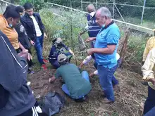 Sembramos vida en las instituciones educativas con mil árboles frutales