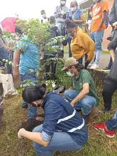 Sembramos vida en las instituciones educativas con mil árboles frutales