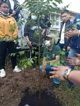 Sembramos vida en las instituciones educativas con mil árboles frutales