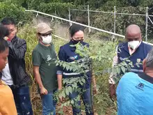 Sembramos vida en las instituciones educativas con mil árboles frutales