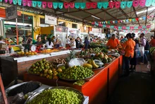 Discovery Channel y su nuevo programa "Cosechando Sabores" llega a la galería Alameda