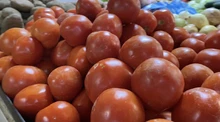 Discovery Channel y su nuevo programa "Cosechando Sabores" llega a la galería Alameda